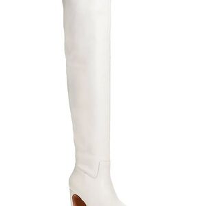Aqua/Steve Madden Private Label Karin Pointed Toe Thigh High Boots
